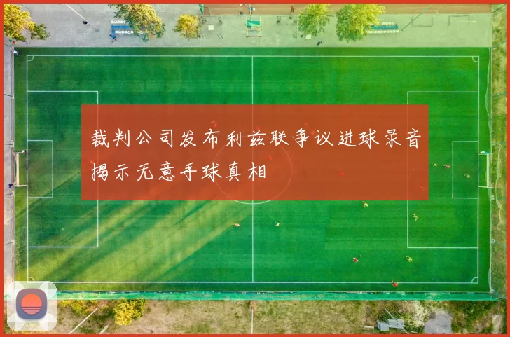 裁判公司发布利兹联争议进球录音揭示无意手球真相