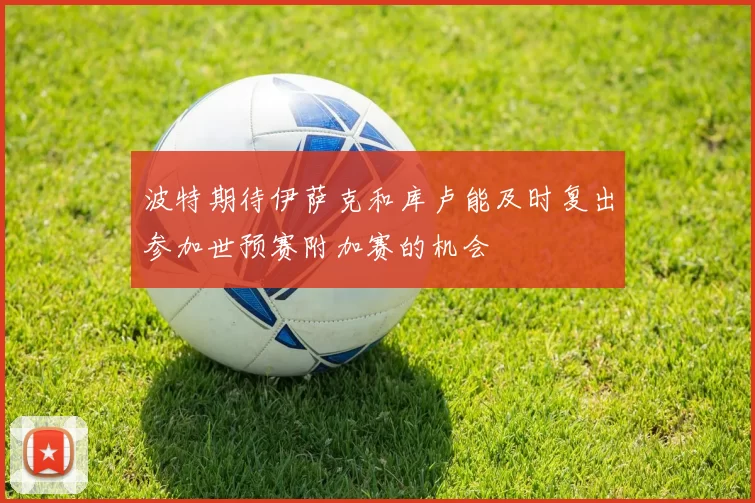 波特期待伊萨克和库卢能及时复出参加世预赛附加赛的机会